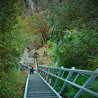 Groupe Grid Monte-escaliers à plateforme 3